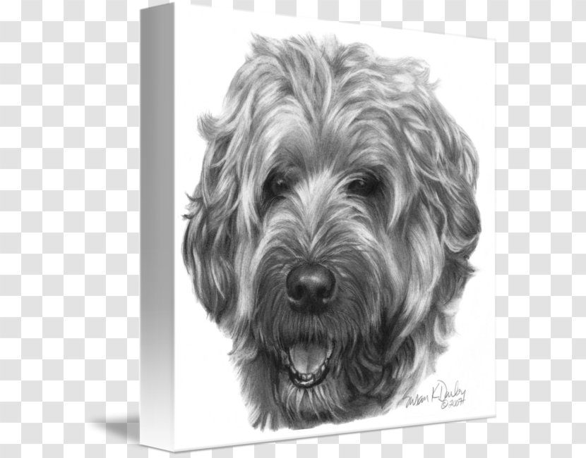 Miniature Schnauzer Glen Skye Terrier Soft-coated Wheaten Cairn Transparent PNG