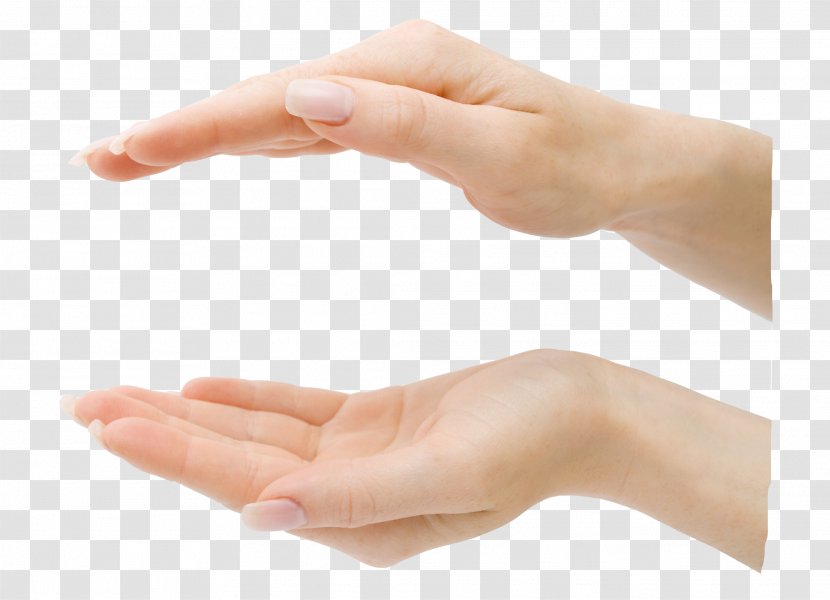 Hand Finger Digit - Gesture - Hands Up And Down Relative Transparent PNG