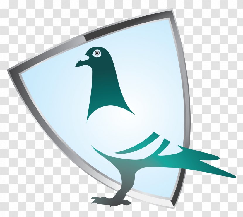 Racing Homer Bird Pigeon Penguin - Coffee Transparent PNG