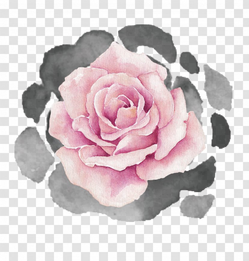 Garden Roses Cabbage Rose Floribunda Petal - Pink M - Abuelito Filigree Transparent PNG