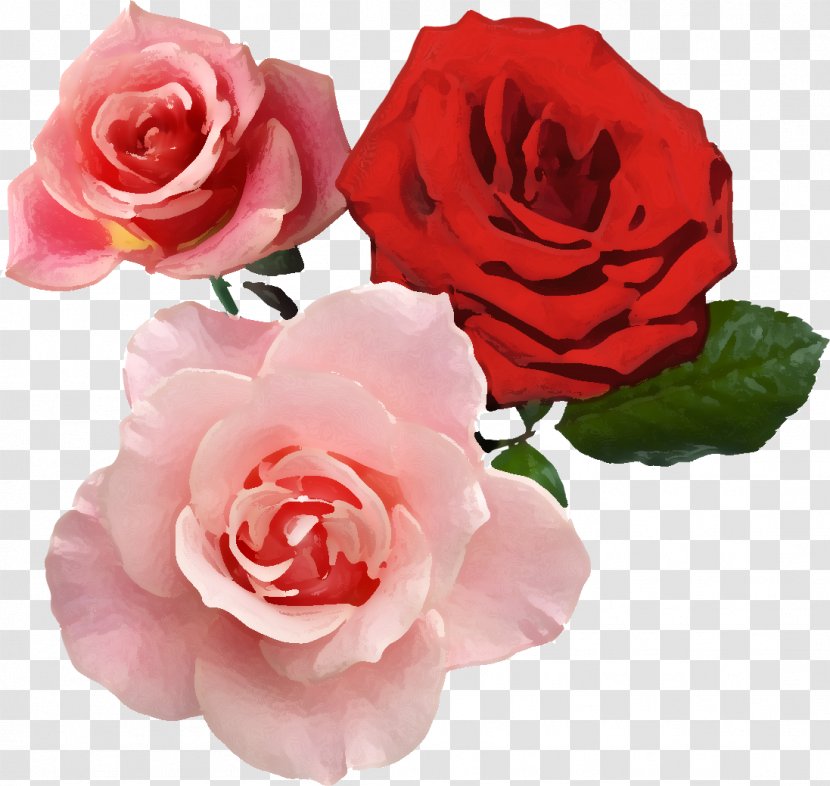 Flower Garden Roses Red Aesthetics Image - Rosa Centifolia - Real Transparent PNG