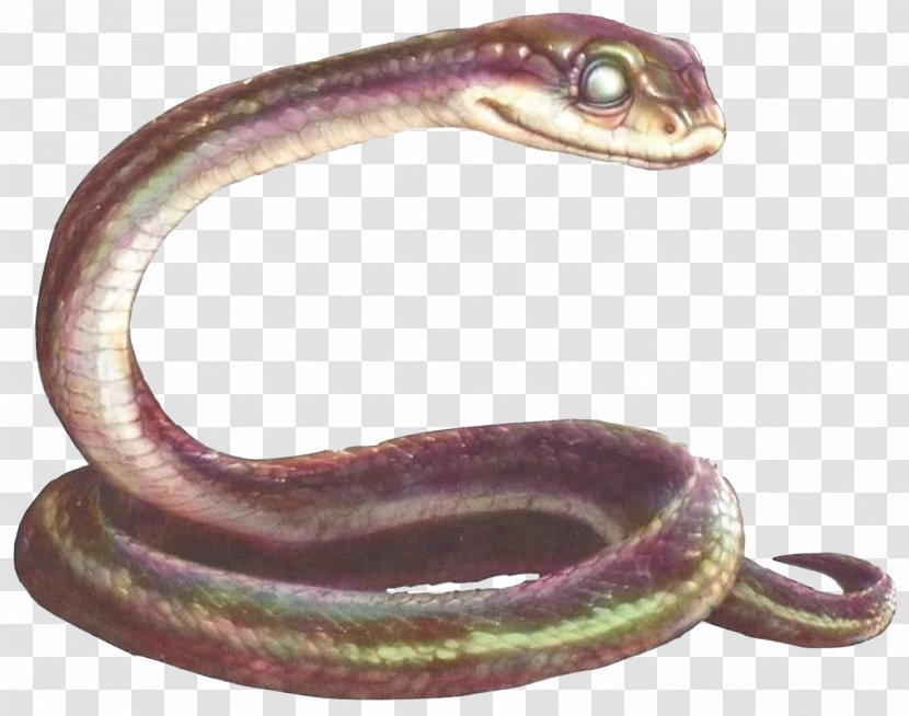 Snake Mrs. Plithiver Gylfie Kludd Guardians Of Ga'Hoole - Tv Tropes - Snakes Transparent PNG
