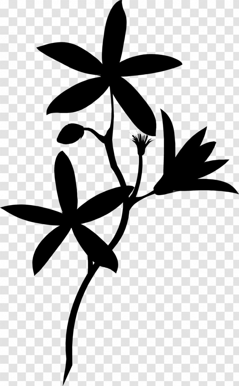 Twig Clip Art Plant Stem Flower Leaf - Wildflower Transparent PNG