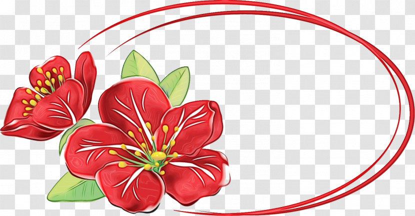 Red Flower Plant Anthurium Petal Transparent PNG