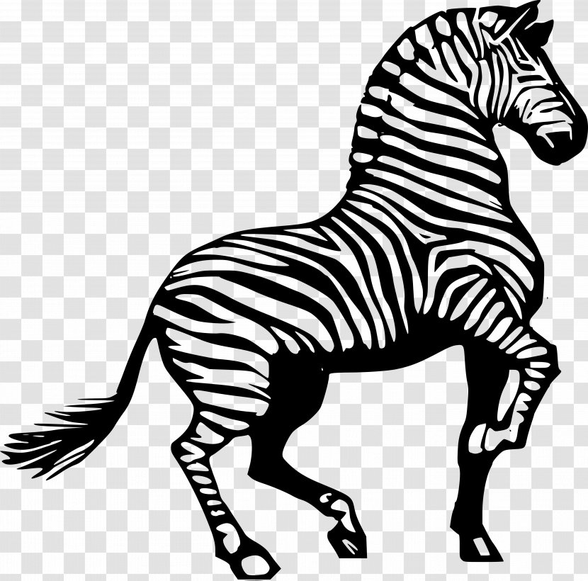 Horse Zebra Drawing Clip Art - Monochrome - Animal Print Transparent PNG