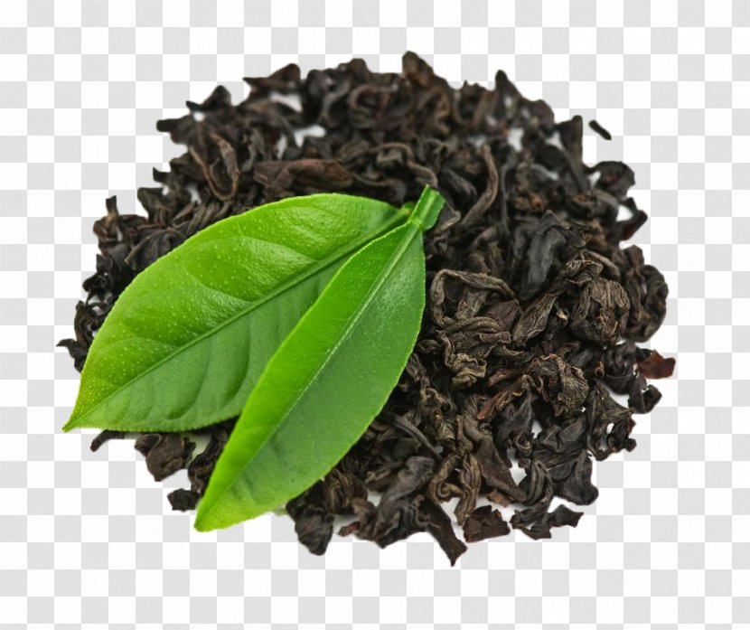 Green Tea Black Thai White - Flavor - Plant Transparent PNG