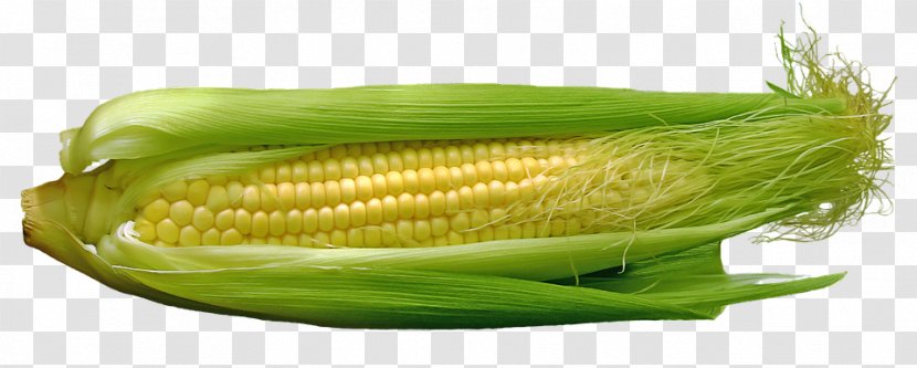 Corn On The Cob Maize Food Kernel - Vegetable Transparent PNG