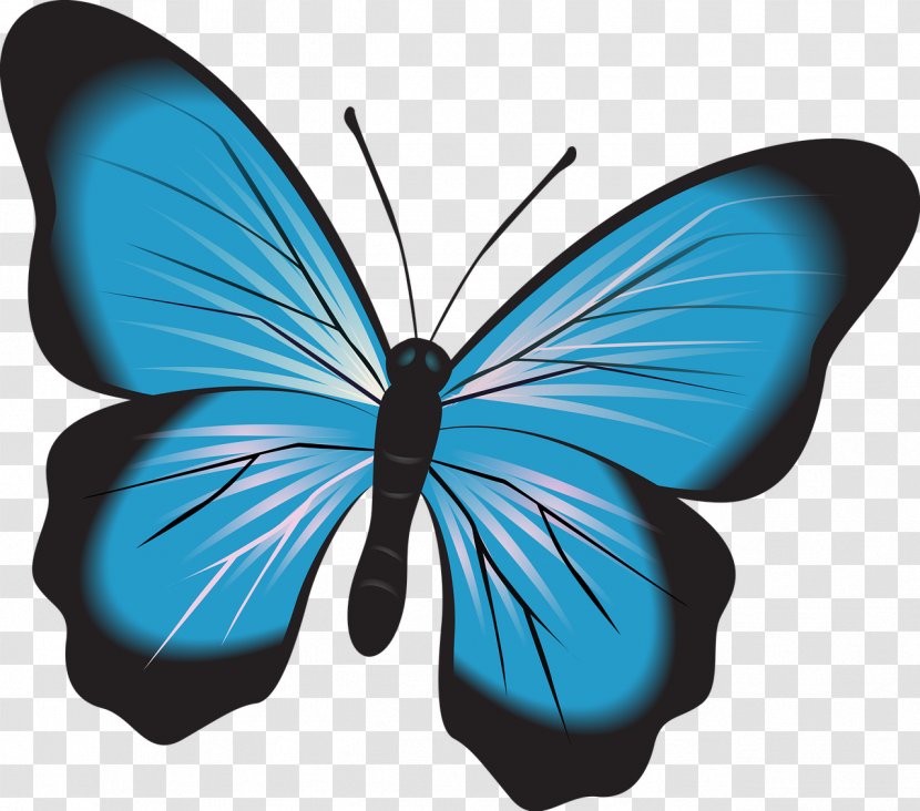 Download Clip Art - Brush Footed Butterfly Transparent PNG