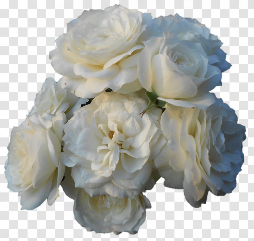 Garden Roses Centifolia Floral Design Gardenia Cut Flowers - Rose Order - Vase Transparent PNG