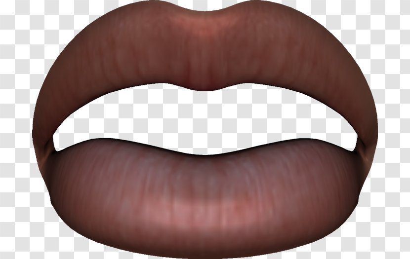 PhotoScape Lip GIMP Anatomy - Homo Sapiens - LABIOS Transparent PNG