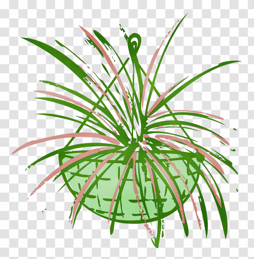 Plant Stem Leaf Aquarium Decor Grasses Terrestrial Plant Transparent PNG