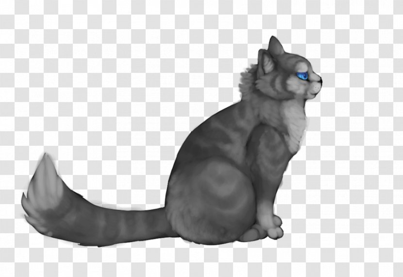 Whiskers Korat Jayfeather Domestic Short-haired Cat Hollyleaf Transparent PNG