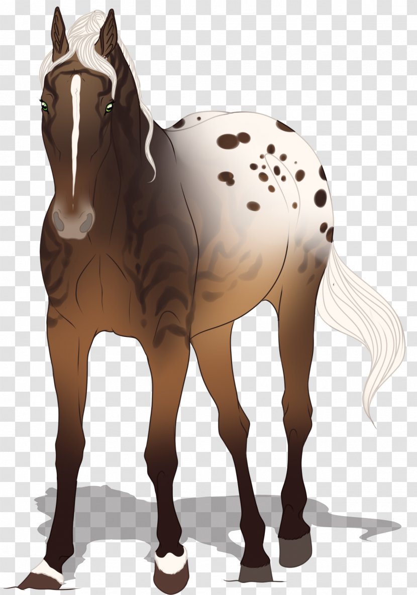 Mule Foal Stallion Horse Mare - Bridle Transparent PNG