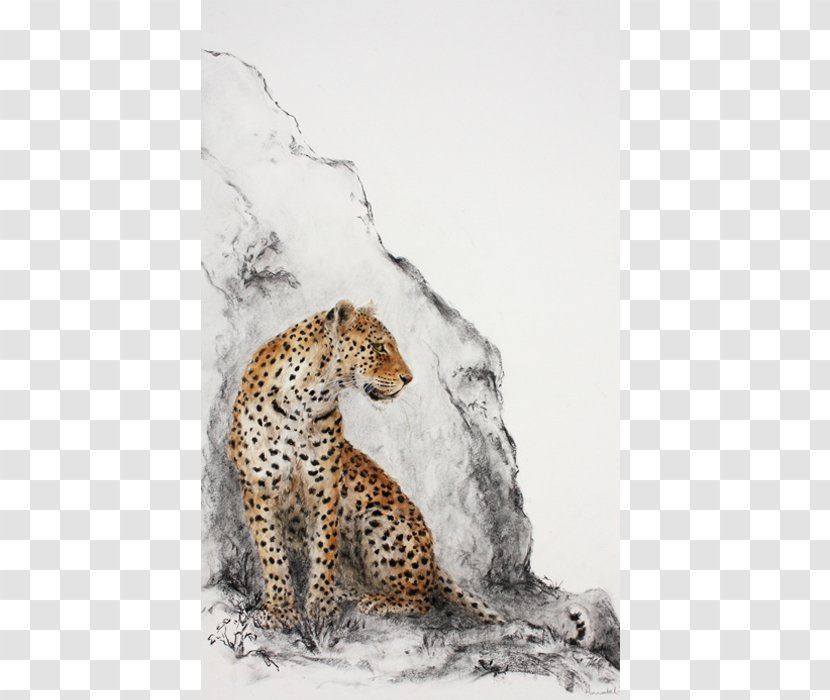 Leopard Jaguar Cheetah Wildlife Terrestrial Animal - Cat Like Mammal Transparent PNG