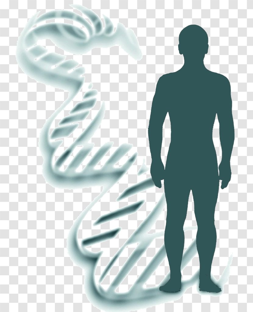 Genetics Heredity Forensic Identification DNA - Heart - Science Transparent PNG