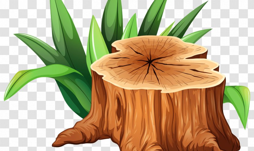 Clip Art Tree Stump Trunk Illustration - Grinder Transparent PNG