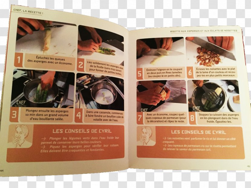 Brochure - Risotto Illustration Transparent PNG