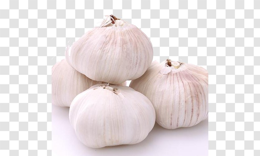 Garlic Shallot Vegetable Allium Fistulosum - Fresh Transparent PNG