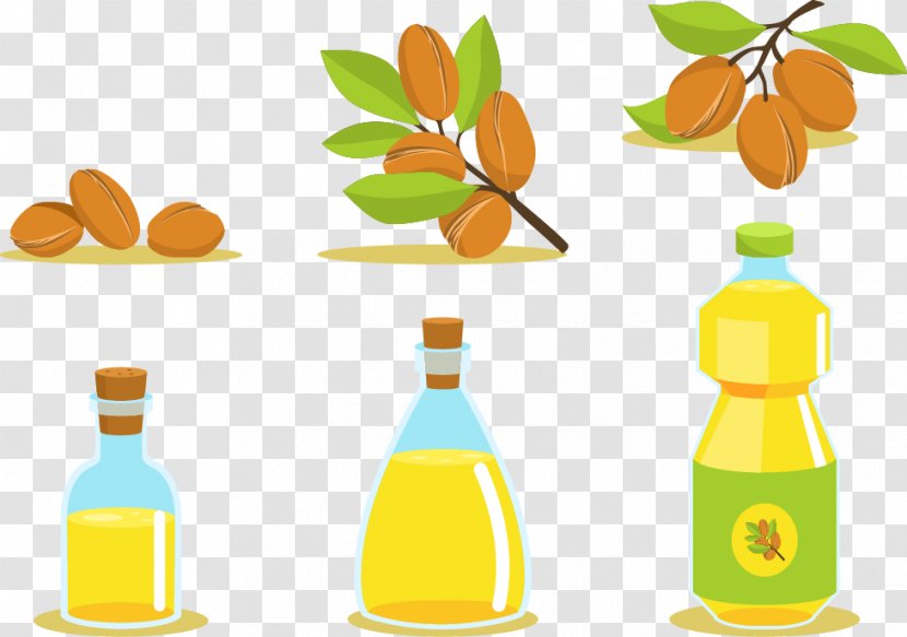 Vegetable Oil Argan - Food - Vector Material Extraction Transparent PNG