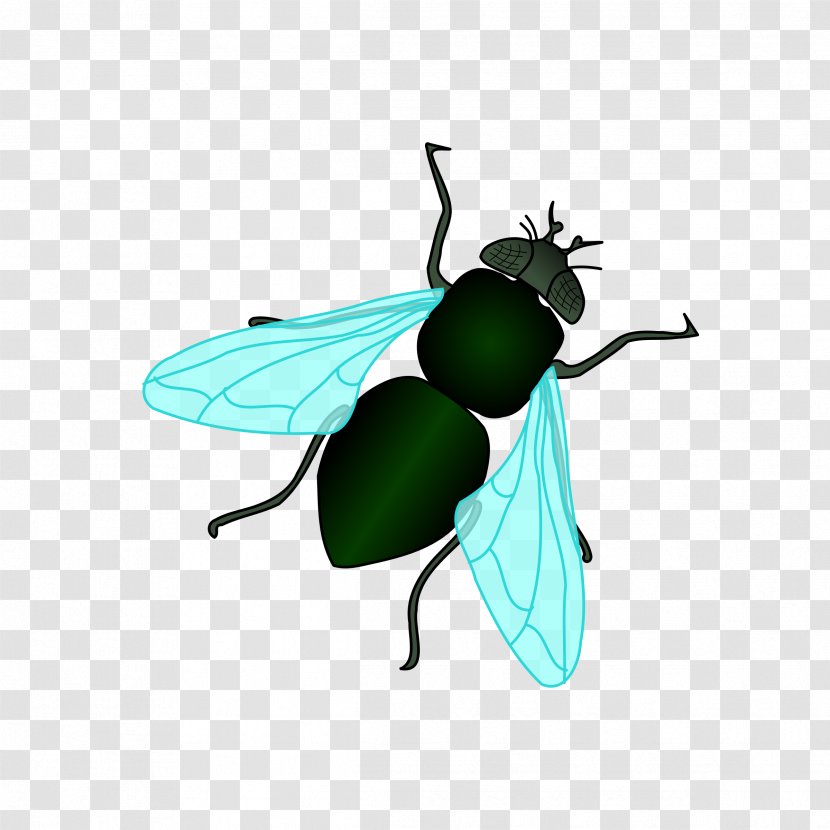 Housefly Insect Clip Art - Leaf - Fly Transparent PNG
