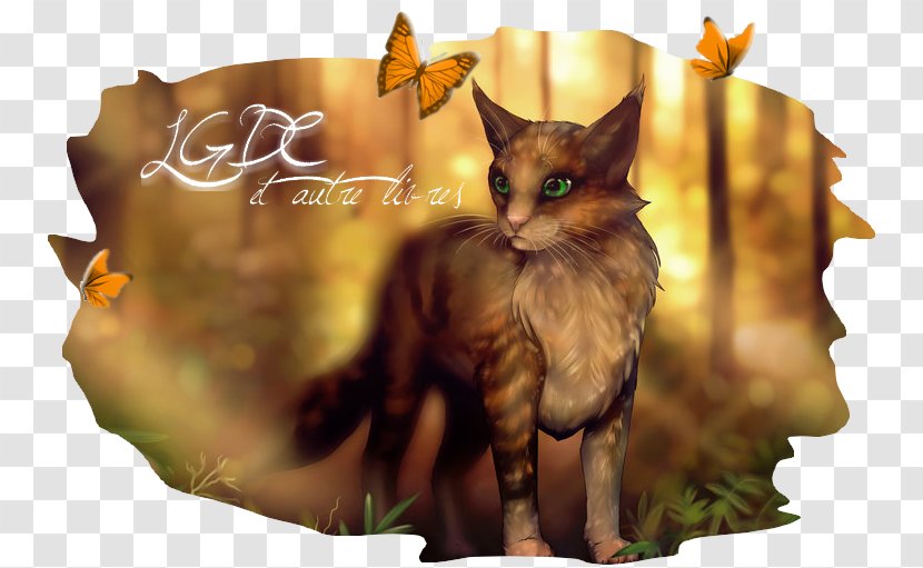 Warriors Kitten Cat Whiskers Clan - Fauna Transparent PNG