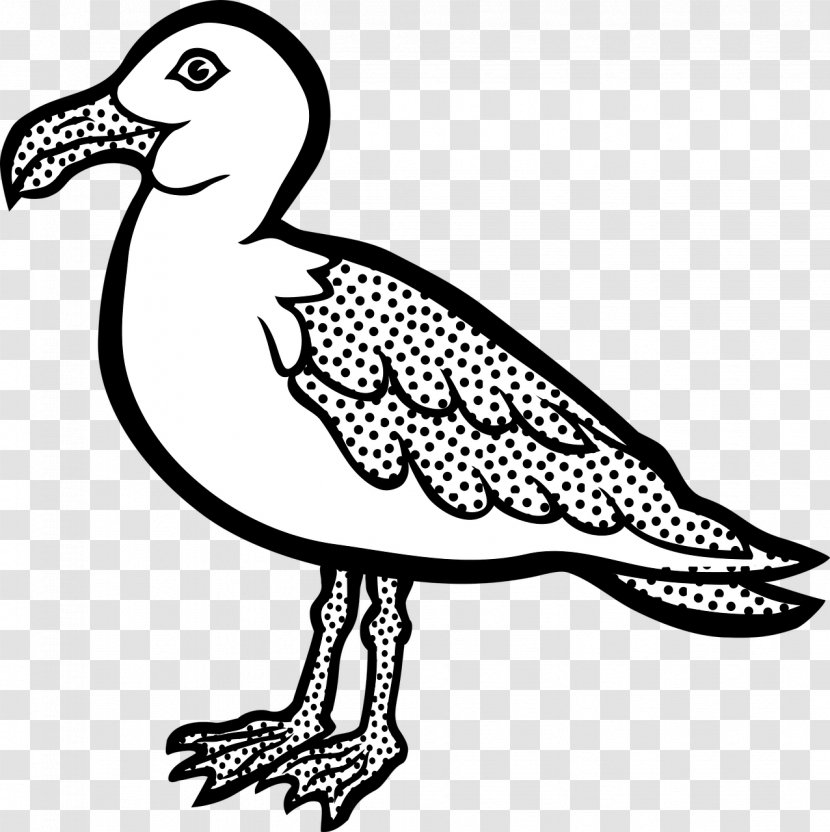 Gulls Bird Clip Art - Black And White - Gull Transparent PNG