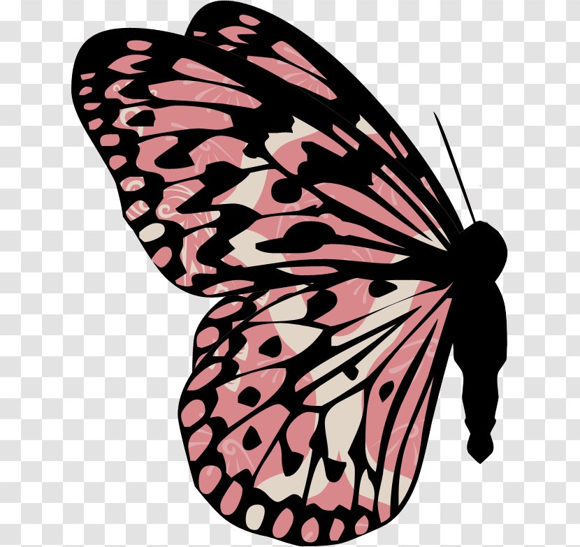 Butterfly - Wing - Pink Transparent PNG