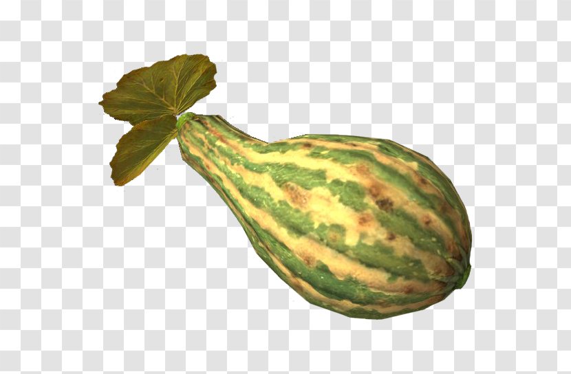 Gourd The Elder Scrolls V: Skyrim – Dragonborn Calabaza Watermelon Vegetable - Pumpkin Transparent PNG