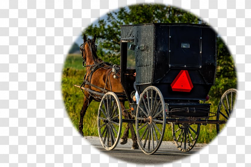 Lancaster County, Pennsylvania J & L Amish Depot Horse And Buggy Old Order - Transport - Pack Animal Transparent PNG