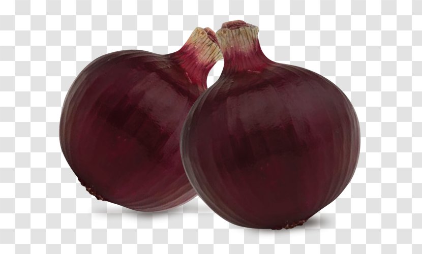Yellow Onion Shallot Beetroot Red - Food - CEBOLLA Transparent PNG