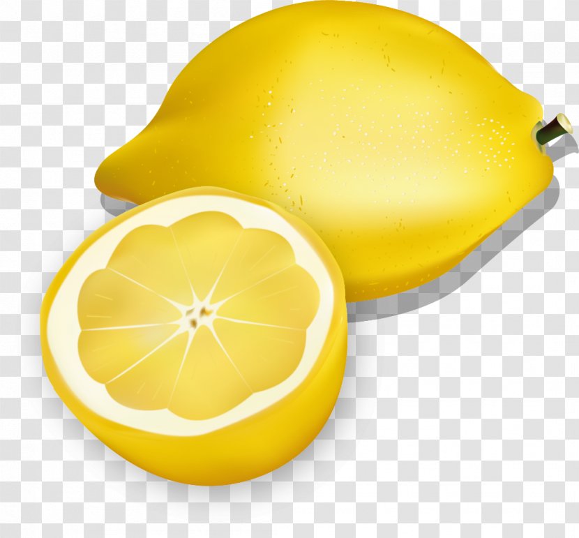 Lemon Citron Illustration - Fruit Transparent PNG