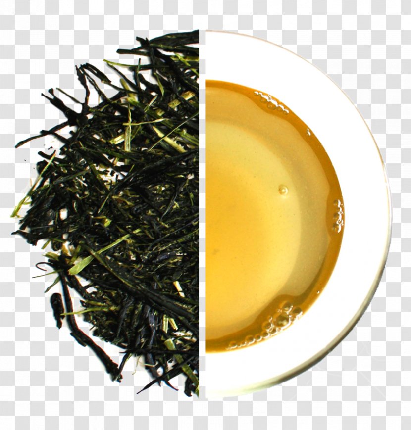 Sencha Green Tea Kabusecha Gyokuro Transparent PNG