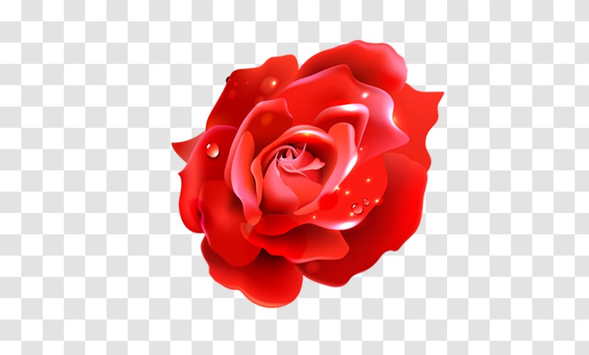 Flower Balloon Red - Designer - Rose Transparent PNG