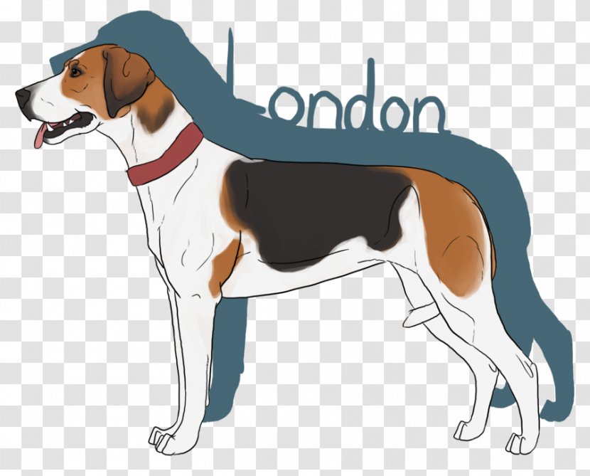 Treeing Walker Coonhound American Foxhound English Harrier Finnish Hound - Paw Transparent PNG