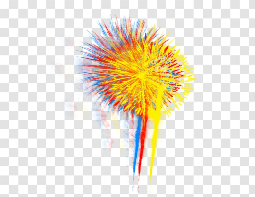 Simple Firework - Real Fireworks Transparent PNG