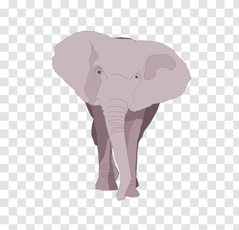Indian Elephant African Pink M Wildlife - People Transparent PNG