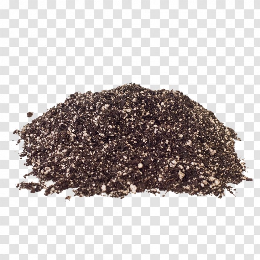 Assam Tea Amazon.com Soil Chia Seed - Suculentas Transparent PNG