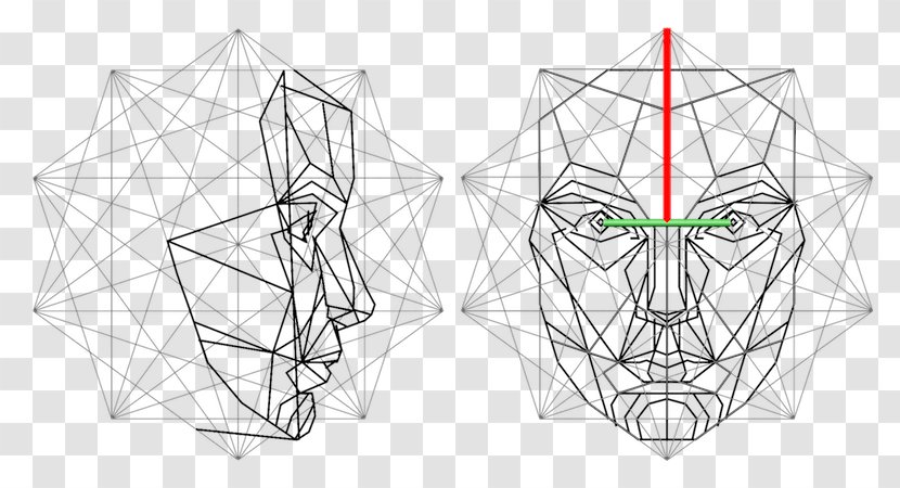 Golden Ratio Face Vitruvian Man Mathematics - Flower - Anatomy Human Graphic Transparent PNG