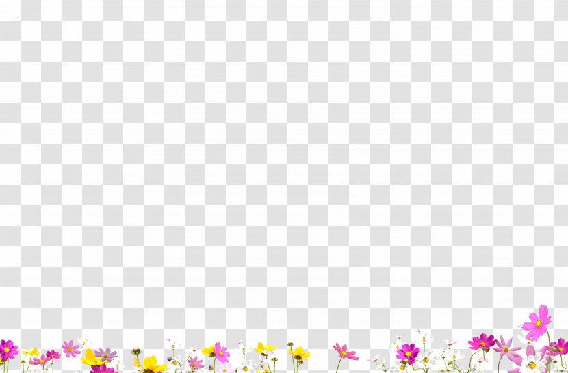 Floral Design Desktop Wallpaper Computer - Yellow - Education Transparent PNG