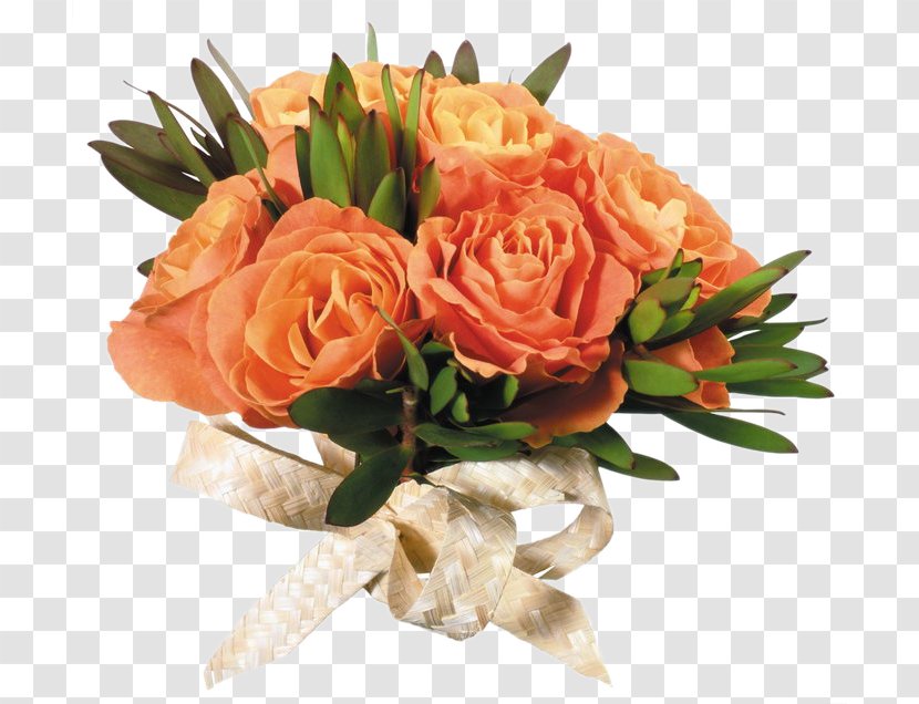 Birthday Cake Wish Blahou017eelanie Catamancer - Petal - Flower Bouquet Transparent PNG