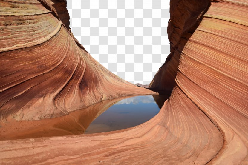 Skin Canyon Wood Brown Hair Tree - Rock Landscape Transparent PNG