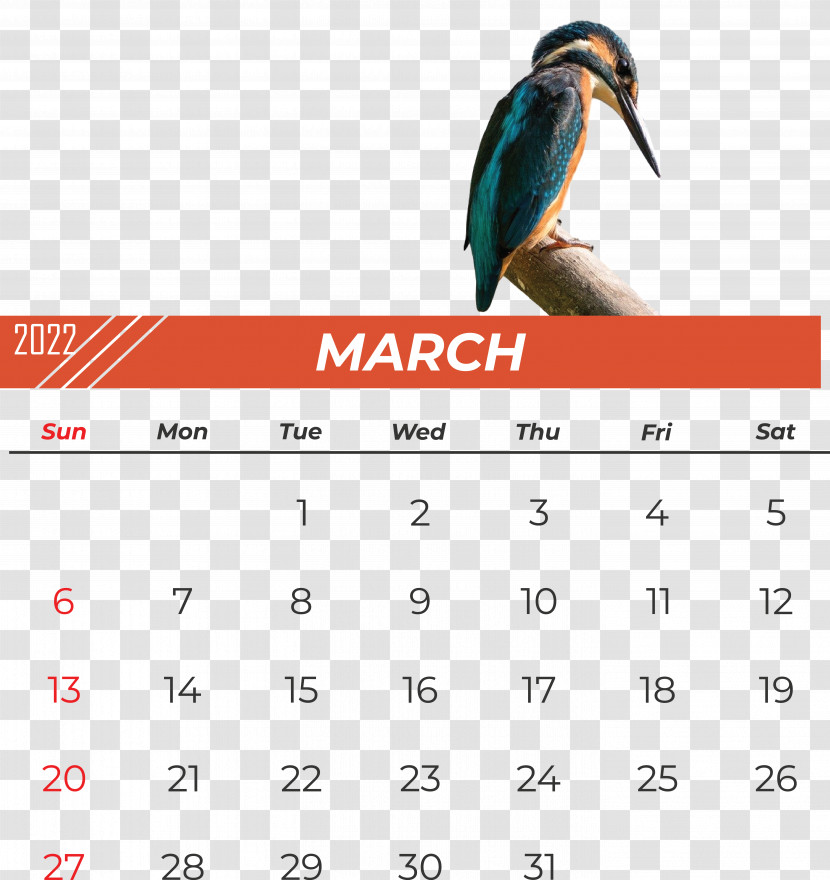 Birds Calendar Beak Font Meter Transparent PNG