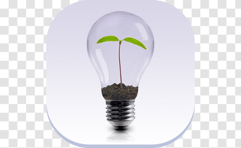 Innovation Leadership Service Organization Management - Bulb - Green Lamp Transparent PNG