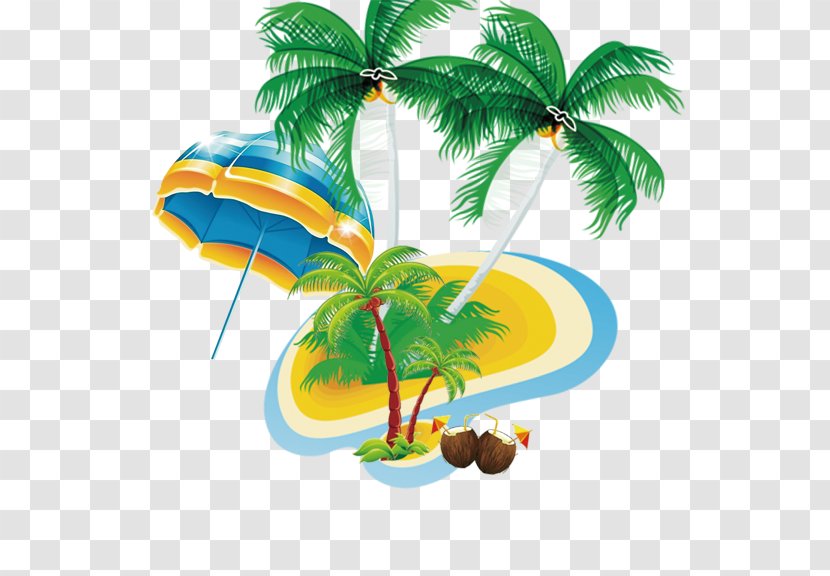 Coconut Nata De Coco Tree Beach - Palm Transparent PNG