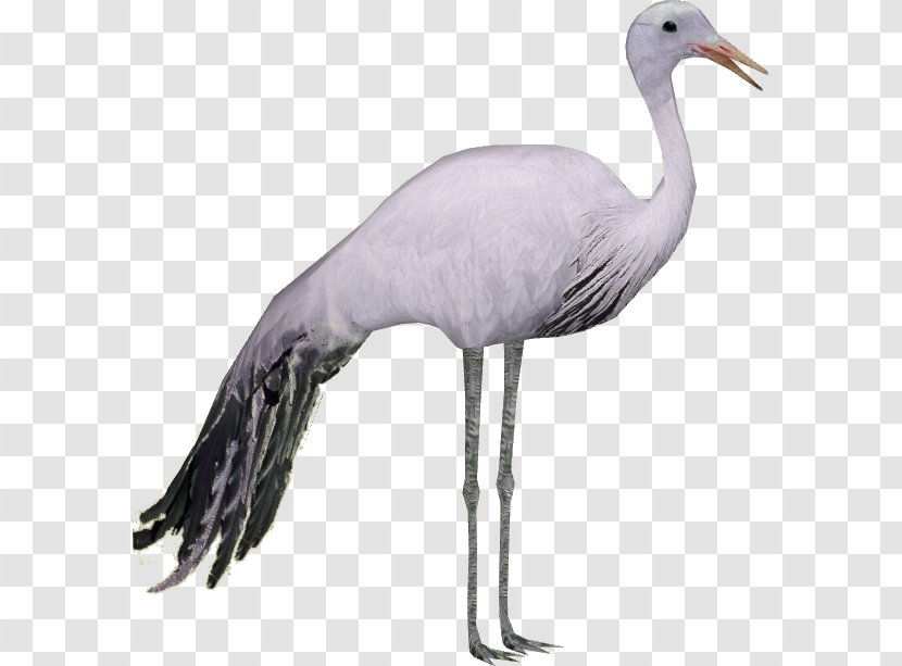 Zoo Tycoon 2 Blue Crane Bird - Feather Transparent PNG