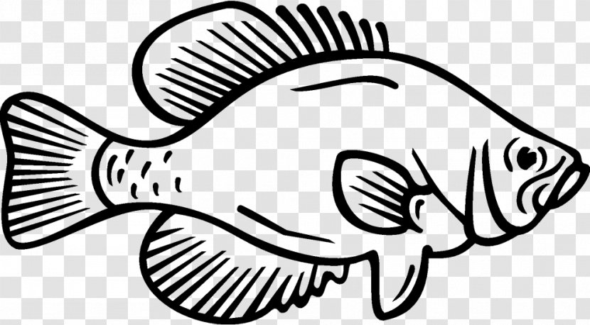 Coloring Book White Crappie Fish Black - Crappies Transparent PNG
