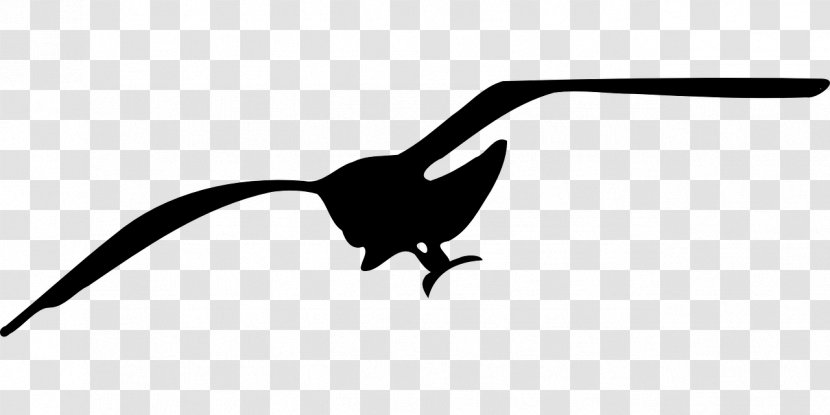 Gulls Bird Clip Art - Laridae Transparent PNG