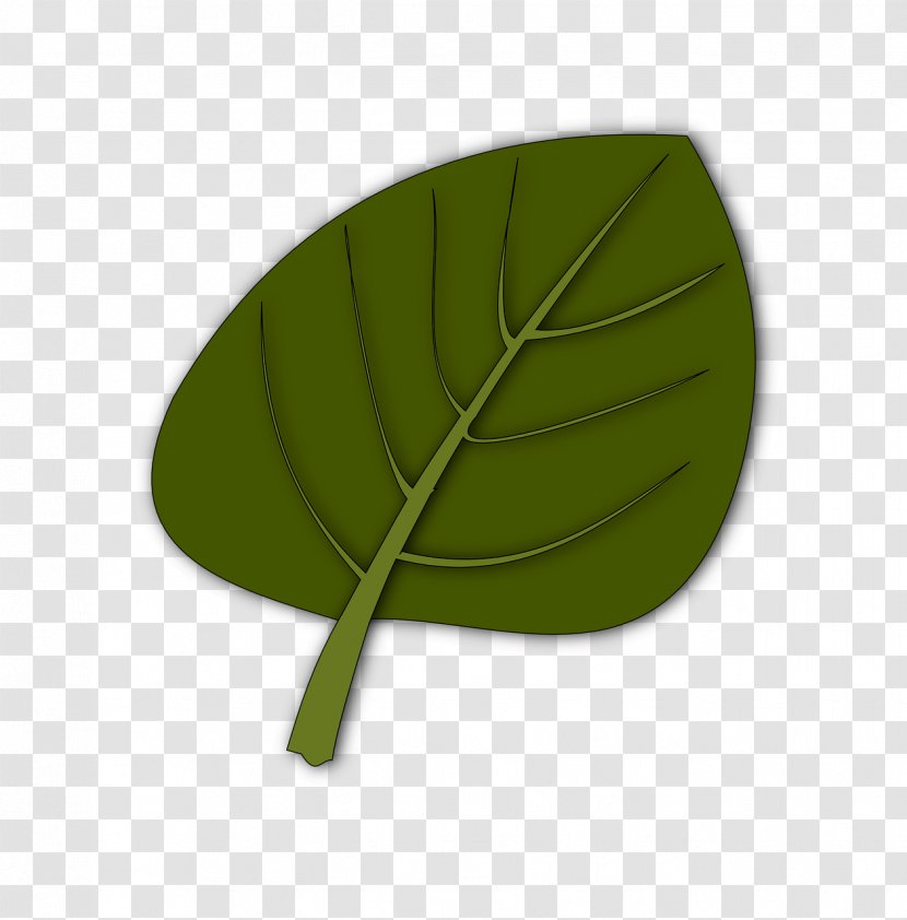 Leaf - Grass Transparent PNG