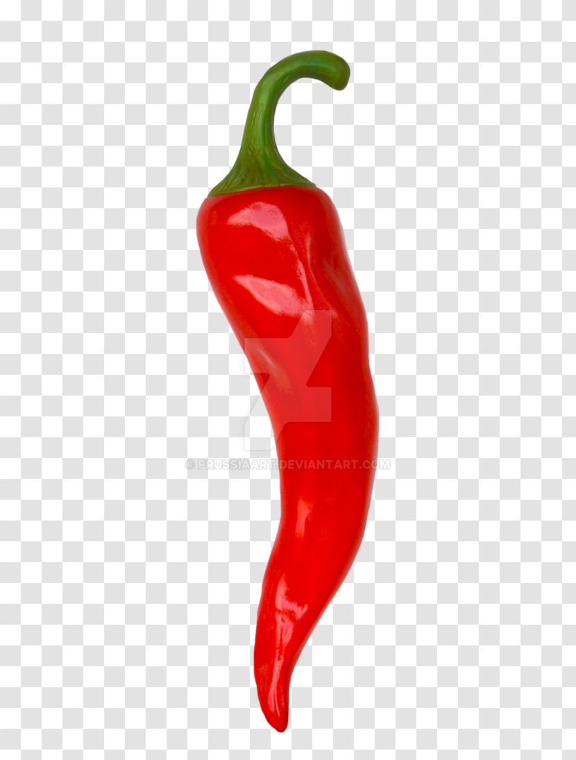Bell Pepper Chili Mexican Cuisine Vegetable Food - Fruit - Jalapeno Transparent PNG