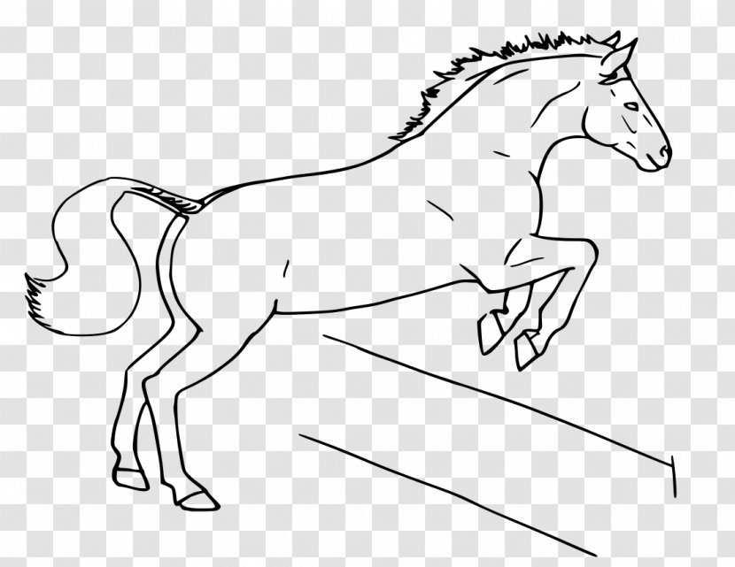 Irish Sport Horse Horses & Jumping Equestrian Show - Tack - ·horse Transparent PNG